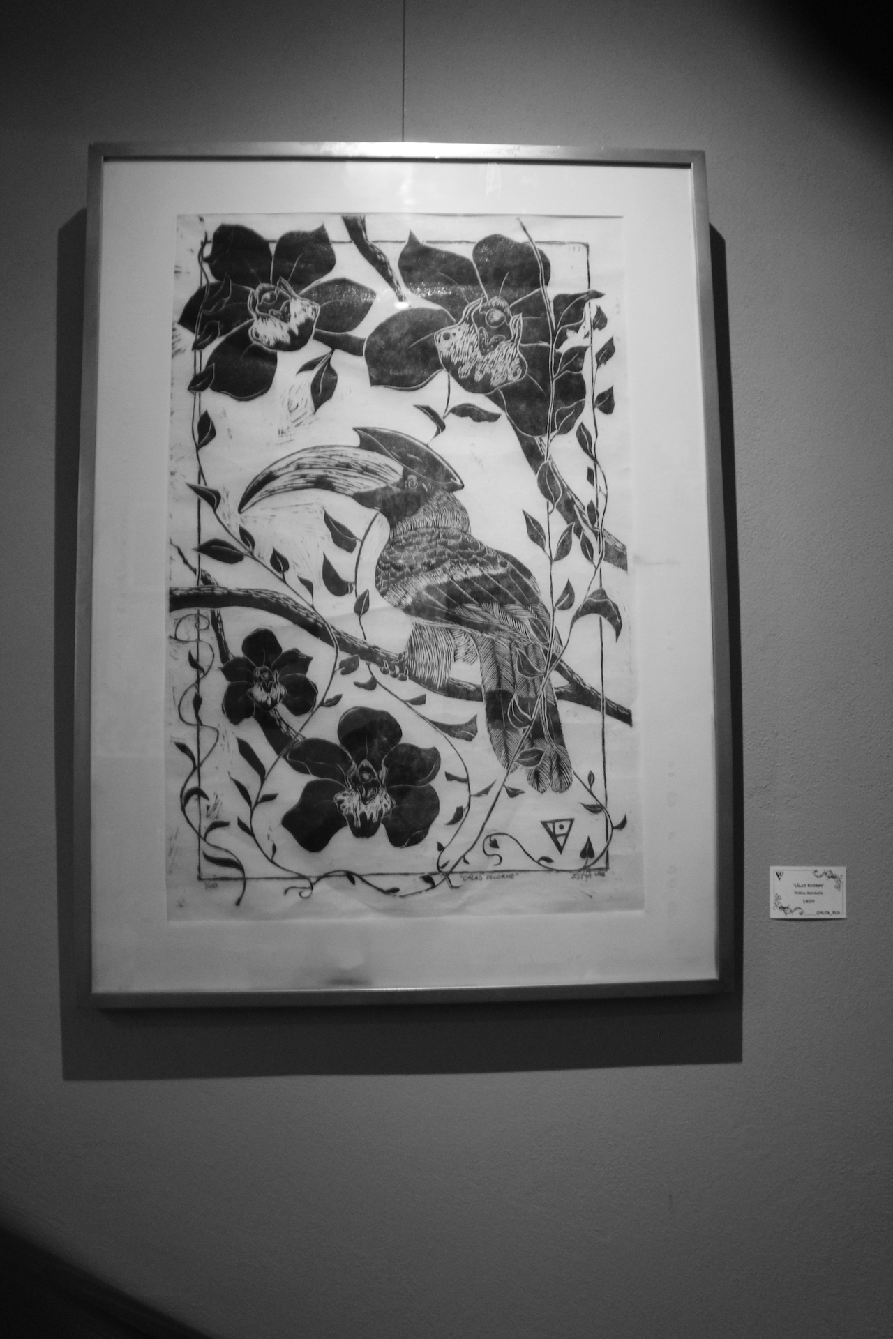 Elita Xilo Portón Rojo